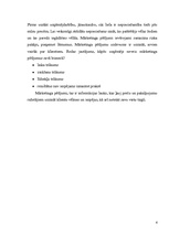 Referāts 'Ievads mārketingā', 6.