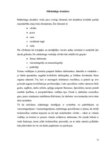 Referāts 'Ievads mārketingā', 12.