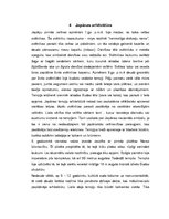 Referāts 'Japānas dienvidi', 8.