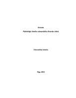 Referāts 'Patērētāju tiesību aizsardzība finanšu sfērā', 1.