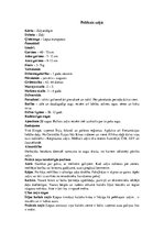 Referāts 'Zaķi - spilgti individuālisti', 6.