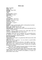 Referāts 'Zaķi - spilgti individuālisti', 9.