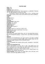 Referāts 'Zaķi - spilgti individuālisti', 12.