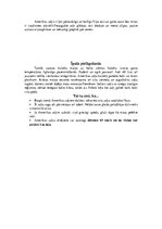 Referāts 'Zaķi - spilgti individuālisti', 14.