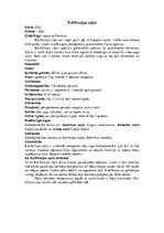 Referāts 'Zaķi - spilgti individuālisti', 15.