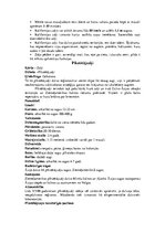 Referāts 'Zaķi - spilgti individuālisti', 17.