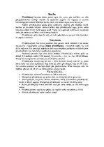 Referāts 'Zaķi - spilgti individuālisti', 19.