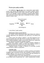 Referāts 'Mārketinga makrovides analīze', 7.