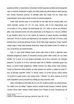Referāts 'Arāja komanda un holokausts', 5.