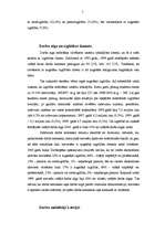 Referāts 'Profesionālā izglītība un darba tirgus Latvijā', 5.