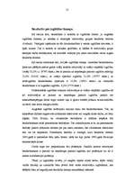 Referāts 'Profesionālā izglītība un darba tirgus Latvijā', 13.