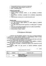 Biznesa plāns 'Biznesa plāns SIA “4 gadalaiki” ', 7.