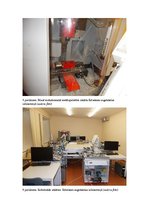 Referāts 'Viena no jaunajām mūsdienu profesijām - mehatronika', 1.