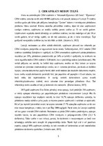 Referāts 'CRM pielietojums un nepieciešamība mazumtirdzniecības uzņēmumos Latvijā', 5.