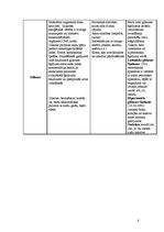 Konspekts 'Vitamīni', 8.