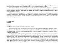 Prakses atskaite 'Ievadprakse', 9.