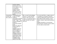 Prakses atskaite 'Ievadprakse', 19.