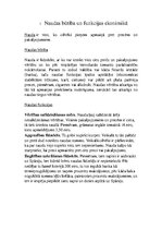 Prezentācija 'Naudas būtība un funkcijas ekonomikā', 14.