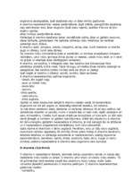 Konspekts 'Vitamīni', 4.