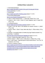 Referāts 'Brīvās krišanas paātrinājums', 17.