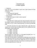 Referāts 'Matemātiskās spēles vidusskolas klasēm', 8.