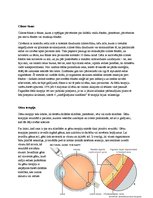 Referāts 'Redzes atgūšana neredzīgajiem ar mūsdienu tehnoloģiju palīdzību', 6.