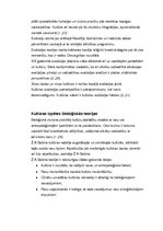 Referāts 'Kultūras teorijas', 3.