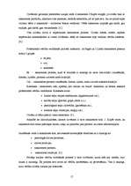 Referāts 'Jauniešu un pieaugušo vērtību skalas salīdzinājums', 17.