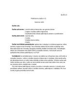 Paraugs 'Gaismas vārti', 1.