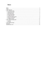 Referāts 'SPA pakalpojumi Latvijā un Eiropā', 2.