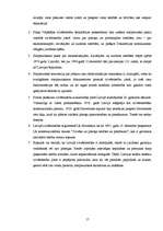 Referāts 'Starptautisko cilvēktiesību galvenie avoti', 17.