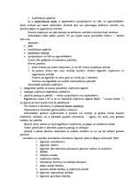 Konspekts 'Ekonomika', 15.