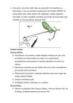 Referāts 'Aknu un žultsceļu diagnostiskie izmeklējumi', 7.