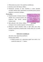 Referāts 'Aknu un žultsceļu diagnostiskie izmeklējumi', 9.