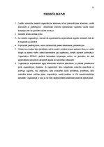 Prakses atskaite 'Kvalifikācijas prakses atskaite sabiedriskajās attiecībās', 31.