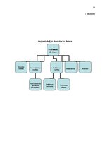 Prakses atskaite 'Kvalifikācijas prakses atskaite sabiedriskajās attiecībās', 39.