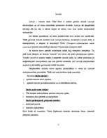 Referāts 'Tranzīta procedūra muitā', 1.