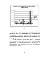 Referāts 'Tranzīta procedūra muitā', 12.