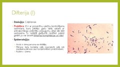 Prezentācija 'Angīnu diferenciāldiagnostika', 13.