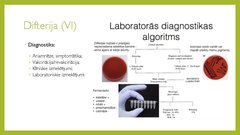 Prezentācija 'Angīnu diferenciāldiagnostika', 18.
