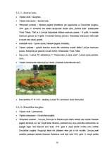 Prakses atskaite 'Apskates ekskursija "Iepazīsti Ludzas rajonu"', 20.