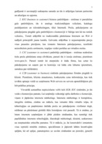 Referāts 'Elektroniskā komercija', 7.