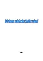 Konspekts 'Atkritumu saimniecība Saldus rajonā', 1.