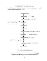 Konspekts 'Tehnoloģiskā procesa raksturojums kviešu maizei', 1.