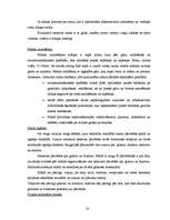 Konspekts 'Tehnoloģiskā procesa raksturojums kviešu maizei', 4.