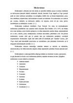 Referāts 'Mākslas virzieni 20.gadsimtā', 4.