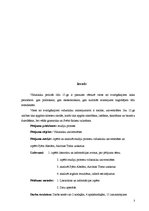 Referāts 'Viduslaiku universitātes. Pjērs Abelārs, Akvīnas Toms', 3.