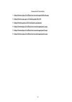 Referāts 'Elektroniskā paraksta un risku analīze lietotājiem', 11.