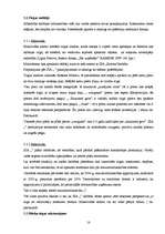 Biznesa plāns 'Biznesa plāns ēdināšanas uzņēmumam', 18.