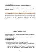 Biznesa plāns 'Biznesa plāns ēdināšanas uzņēmumam', 21.